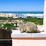 Casa Playa Willa
