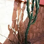 Willa Casa Playa